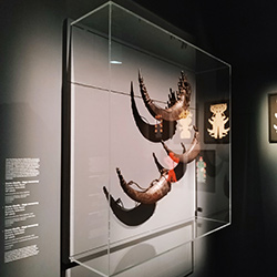 Le capot mural met en valeur les maquettes et les objets d'art comme dans une vitrine presque invisible.