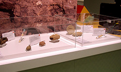 Les musées apprécient généralement les capots en plastique.