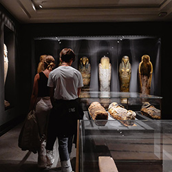 Le plexiglas met en valeur les objets dans les musées d'art et d'histoire.